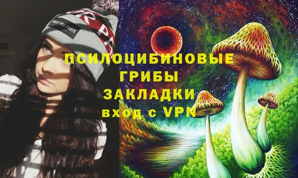 дурь Белоозёрский